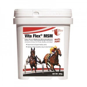 Horse Nutritional Supplements