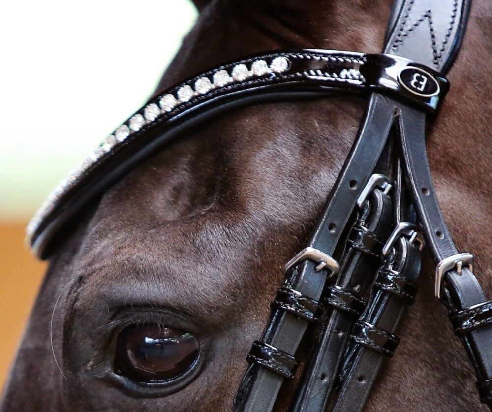 Belle Countess Snaffle Bridle - Image 4