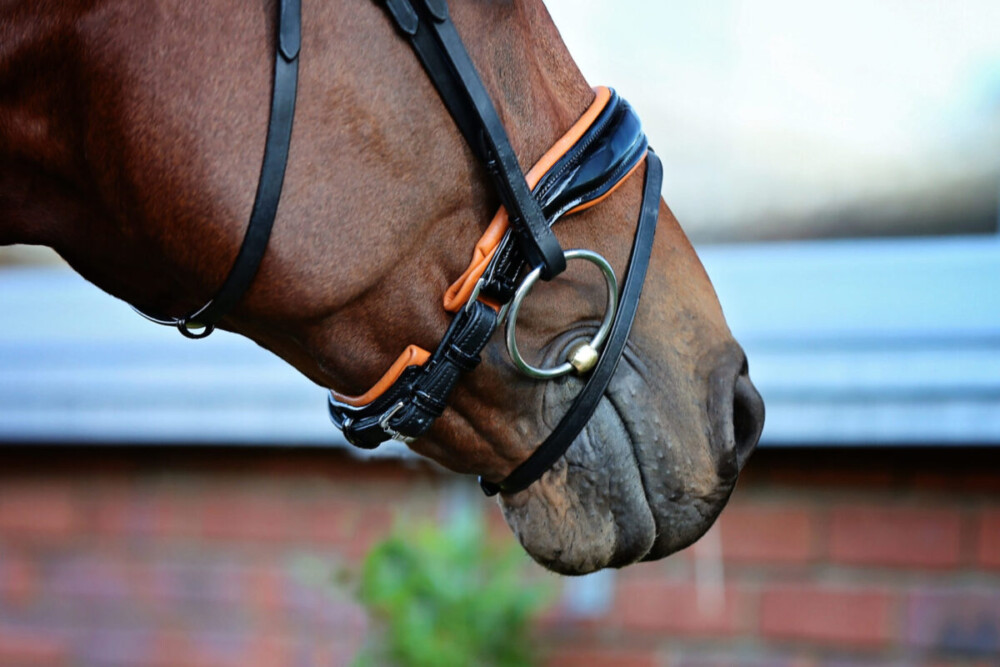 Belle Czarina Snaffle Bridle - Image 3