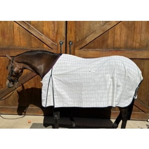 High Plains Waratah Cotton Rug