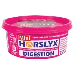 Horslyx Digestion Vitamin & Mineral Lick 650g